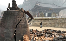 Nhiều di sản văn hóa bị tiêu hủy do cháy rừng ở Hàn Quốc