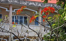 Trường học nổi tiếng vùng Gò Công sắp tròn 70 tuổi