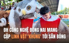 ĐH Công nghệ Đồng Nai mang cặp linh vật 'khủng' tới sân bóng: Truyền may mắn!