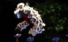 TP.HCM thêm 1 di sản văn hóa phi vật thể quốc gia và 7 di tích lịch sử - văn hóa