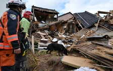 Nhật ước tính một trận động đất rất lớn có thể giết chết gần 300.000 người