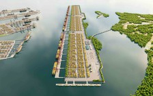 Khu thương mại tự do: Động lực tăng trưởng mới