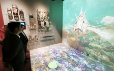 Bảo tàng Đà Nẵng có robot dẫn đường, mở cửa miễn phí từ hôm nay