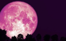 Kỳ thú tháng 4: Người Việt có thể quan sát Trăng Hồng, mưa sao băng huyền ảo
