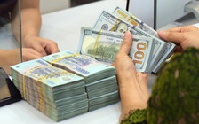 Giá USD 'căng' trở lại