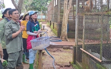 Người trẻ thời công nghệ: Thiếu kỹ năng sống trầm trọng