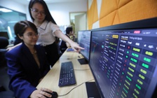 Chứng khoán, vàng tăng kỷ lục, USD giảm nhiệt