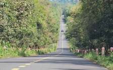 Cầu Mã Đà nối Đồng Nai với Bình Phước sẽ khởi công trong tháng 6