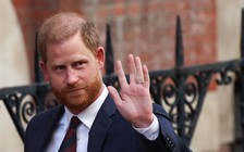 Lý do Hoàng tử Harry và William cầu xin Vua Charles không kết hôn với Camilla