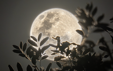 Tối nay người Việt sẽ thấy Trăng Hồng: Trăng tròn nhỏ nhất năm 2025, vì sao?