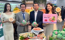 Bưởi Việt Nam được bán trong chuỗi siêu thị lớn nhất Hàn Quốc