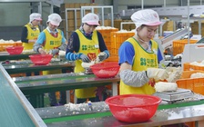 Hàn Quốc nới lỏng visa chuyên biệt, cơ hội cho lao động Việt Nam