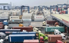 Tức tốc đàm phán với hãng tàu giảm giá cước đưa hàng xuất Mỹ