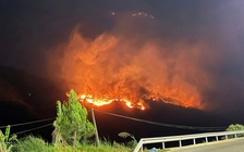 Quảng Ninh: Hơn 600 người xuyên đêm chữa cháy rừng