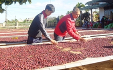 'Bơm' 100.000 tỉ đồng tín dụng ưu đãi cho nông, lâm, thủy sản