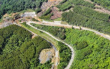 Đẩy nhanh tiến độ khởi công cao tốc Quy Nhơn - Pleiku