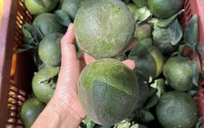 Cam sành rớt giá