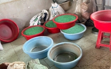 Vụ thuốc giả: Phát hiện lượng lớn thuốc giảm đau trong thuốc đông y bị thu giữ