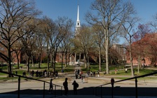 Các nghị sĩ Cộng hòa Mỹ phát động cuộc điều tra về Đại học Harvard