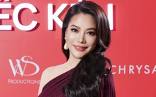 Cuộc sống của Trương Ngọc Ánh sau biến cố