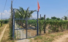 Bé Bắp qua đời