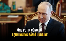 Tổng thống Putin bất ngờ chỉ thị ngừng bắn ở Ukraine