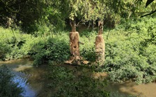 Đồng Nai kiến nghị xây cầu Mã Đà, làm cầu cạn để kết nối với Bình Phước