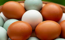 Bác sĩ 24/7: Những bệnh nào nên hạn chế ăn trứng?