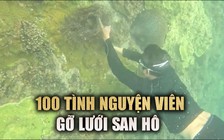 Đà Nẵng: Cận cảnh san hô được gỡ lưới, ‘giải cứu’