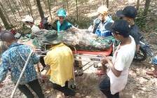 Đi soi ếch trong rừng qua đêm, một người đàn ông tử vong