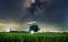 Rạng sáng mai sao Kim sáng đỉnh điểm: Nếu bỏ lỡ, phải chờ đến tháng 9 năm sau