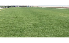 Sân Mỹ Đình đẹp khó tin chỉ sau một tháng: Làm gì để cỏ mãi xanh mướt?