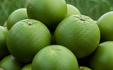 Ngày mới với tin tức sức khỏe: Loại trái cây quen thuộc giúp giảm cân, huyết áp