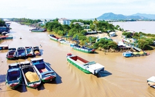 Kỳ tích hồi sinh vựa lúa miền Tây