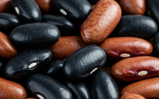 Ngày mới với tin tức sức khỏe: Loại đậu giúp giảm cả cholesterol và đường huyết