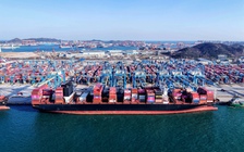 Các nền kinh tế châu Á phản ứng thế nào với đòn thuế từ Mỹ?