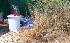 Cây cối xung quanh ‘đại công xưởng’ ma túy bị cháy khô vì hóa chất