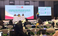 VDS dự kiến phát hành cổ phiếu, tăng vốn điều lệ lên 3.200 tỉ đồng