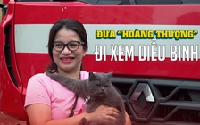 Người dân ‘ăn tranh thủ, ngủ khẩn trương’ để chờ xem diễu binh