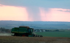 Ông Trump nói Trung Quốc 'hoảng loạn' khi bị Mỹ áp thuế