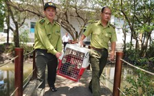 Kiểm lâm thả rái cá vật chứng trong vụ án hình sự về tự nhiên