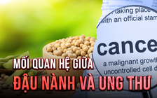 Đậu nành có phải là nguyên nhân gây ung thư?
