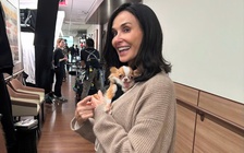 Minh tinh Demi Moore 'lột xác' với diện mạo mới