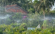 Quê tôi trù phú, giàu lên nhờ có điện