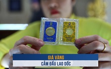 Biến động vàng ngày 7.4: Giá vàng cắm đầu lao dốc