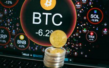 Bitcoin 'tắm máu': Dân chơi tiền số đang sợ hãi cực độ