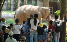 Hàng ngàn người 'chen chân' ở Thảo Cầm Viên lễ Giỗ tổ Hùng Vương