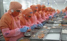 Ứng phó thuế đối ứng: Giảm chi phí, kiếm tìm thị trường xuất khẩu mới