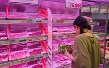 Giá heo hơi hôm nay 8.4.2025: Bất ngờ tăng ở 'thủ phủ' chăn nuôi