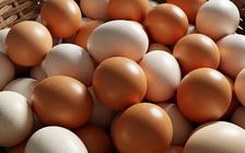 Ngày mới với tin tức sức khỏe: Phát hiện lợi ích của trứng với người lớn tuổi